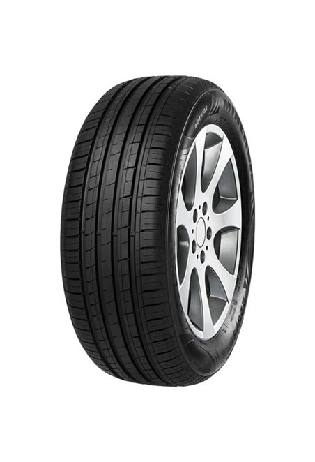 MINERVA F209 205/55 R16 91H