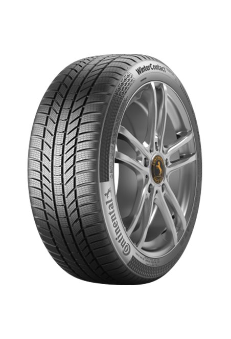 CONTINENTAL WINTERCONTACT TS 870 P SEAL 255/50 R19 107T XL
