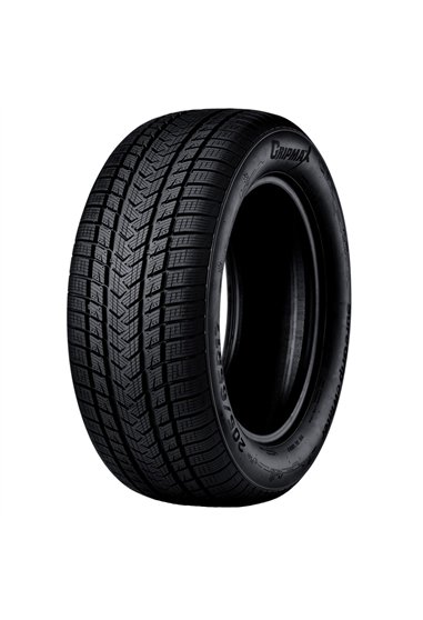 GRIPMAX SUREGRIP EWINTER 205/60 R17 97V XL