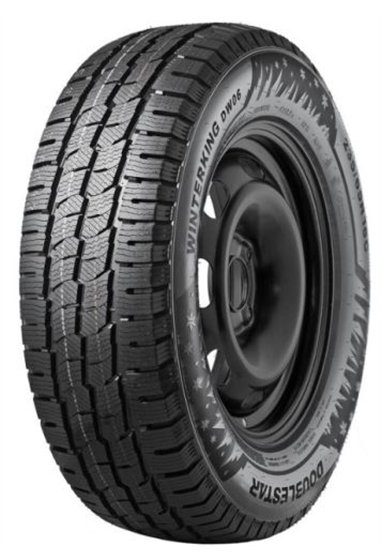 DOUBLESTAR WINTERKING DW06 205/65 R16C 107/105R