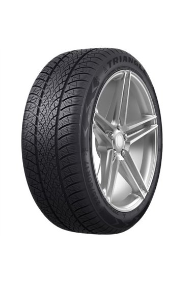 TRIANGLE WINTERX TW401 195/55 R16 91H XL