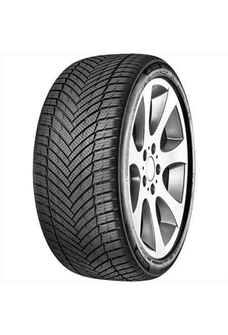 MINERVA ALL SEASON MASTER 205/55 R16 91V